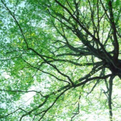 EXPLORE Discover where limitation is a gift for self-exploration. Our current challenges allow us to awaken our genius.