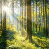 EXPLORE Discover where limitation is a gift for self-exploration. Our current challenges allow us to awaken our genius.